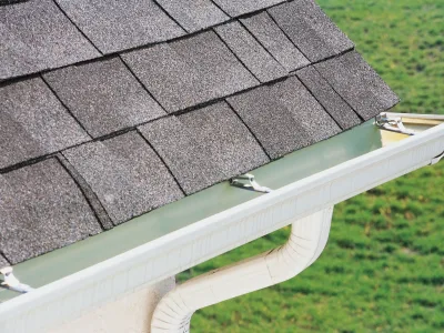 Roof and gutters (2)