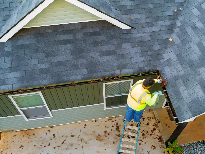 Roof and gutters (4)