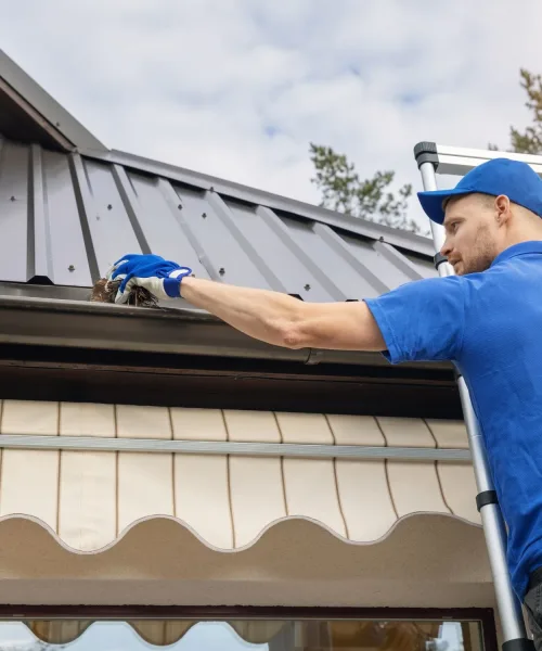 Roof and gutters